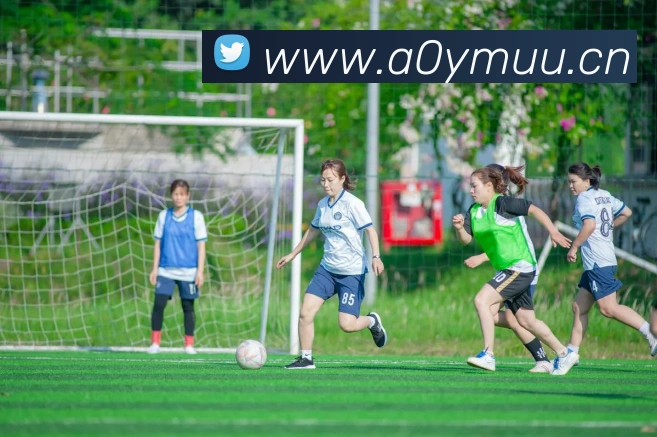 App Interface Preview